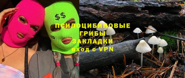 a pvp Белокуриха