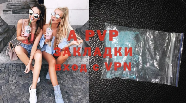 a pvp Белокуриха