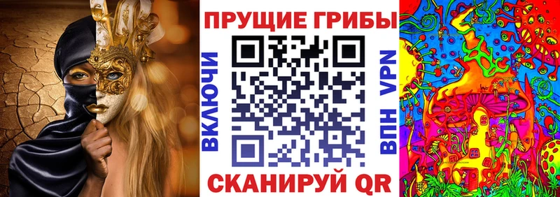 Псилоцибиновые грибы Cubensis  МЕГА ТОР  Черноголовка 